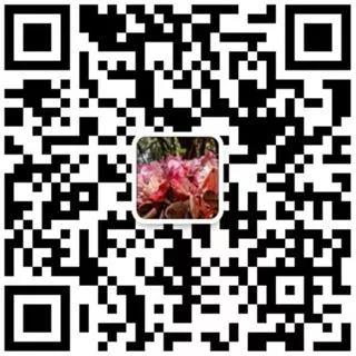 微信图片_20180411165318.jpg