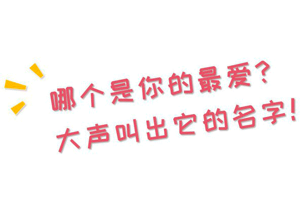微信图片_20190309120341.gif