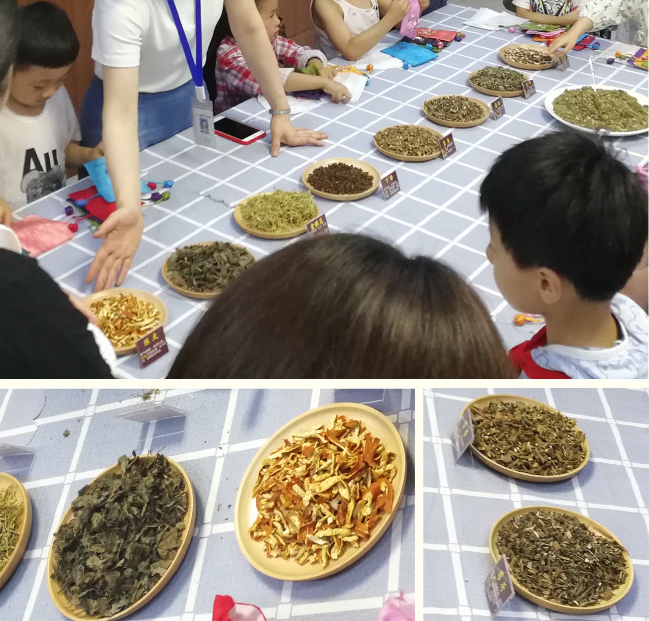 中草药.jpg