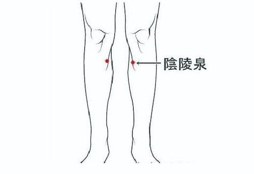 阴陵泉.jpg