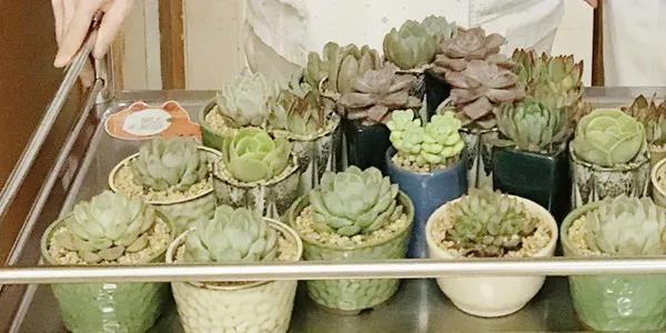 微信图片_20210309160031.jpg