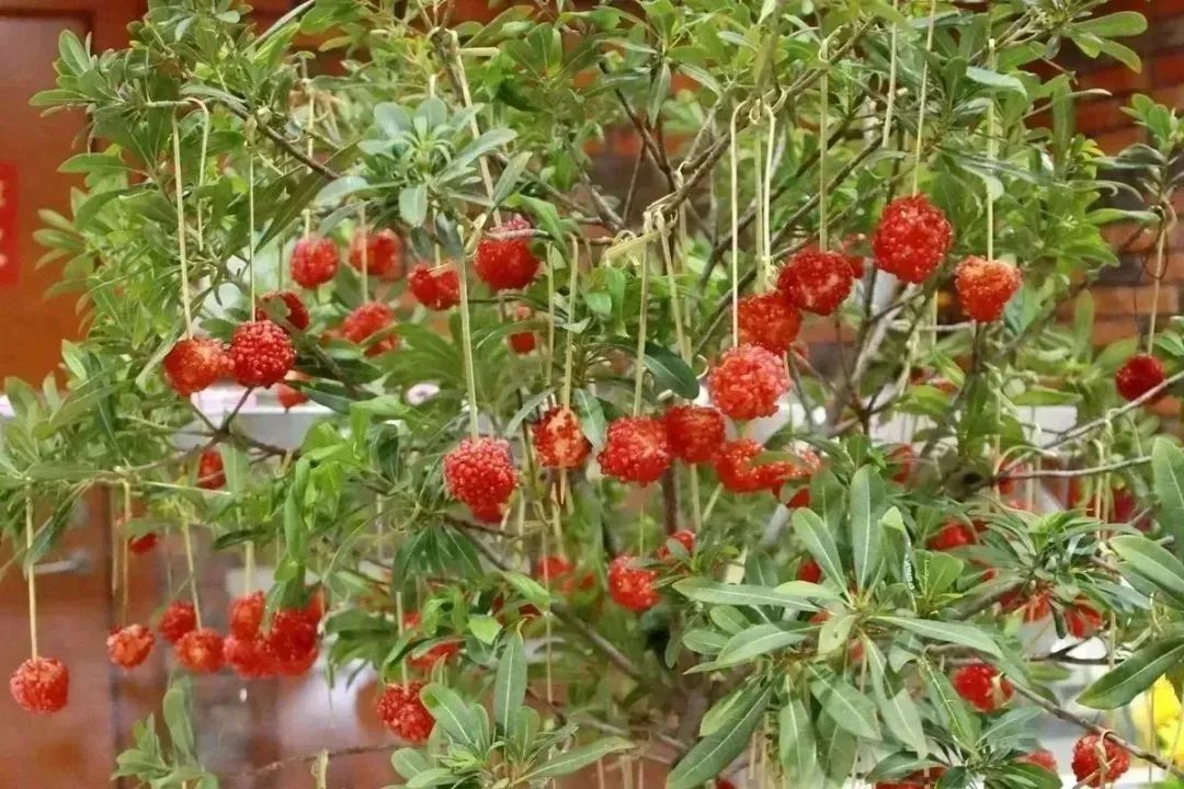 微信图片_20230606161200.jpg