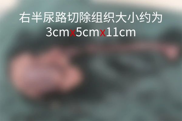 微信图片_20241223164346.jpg