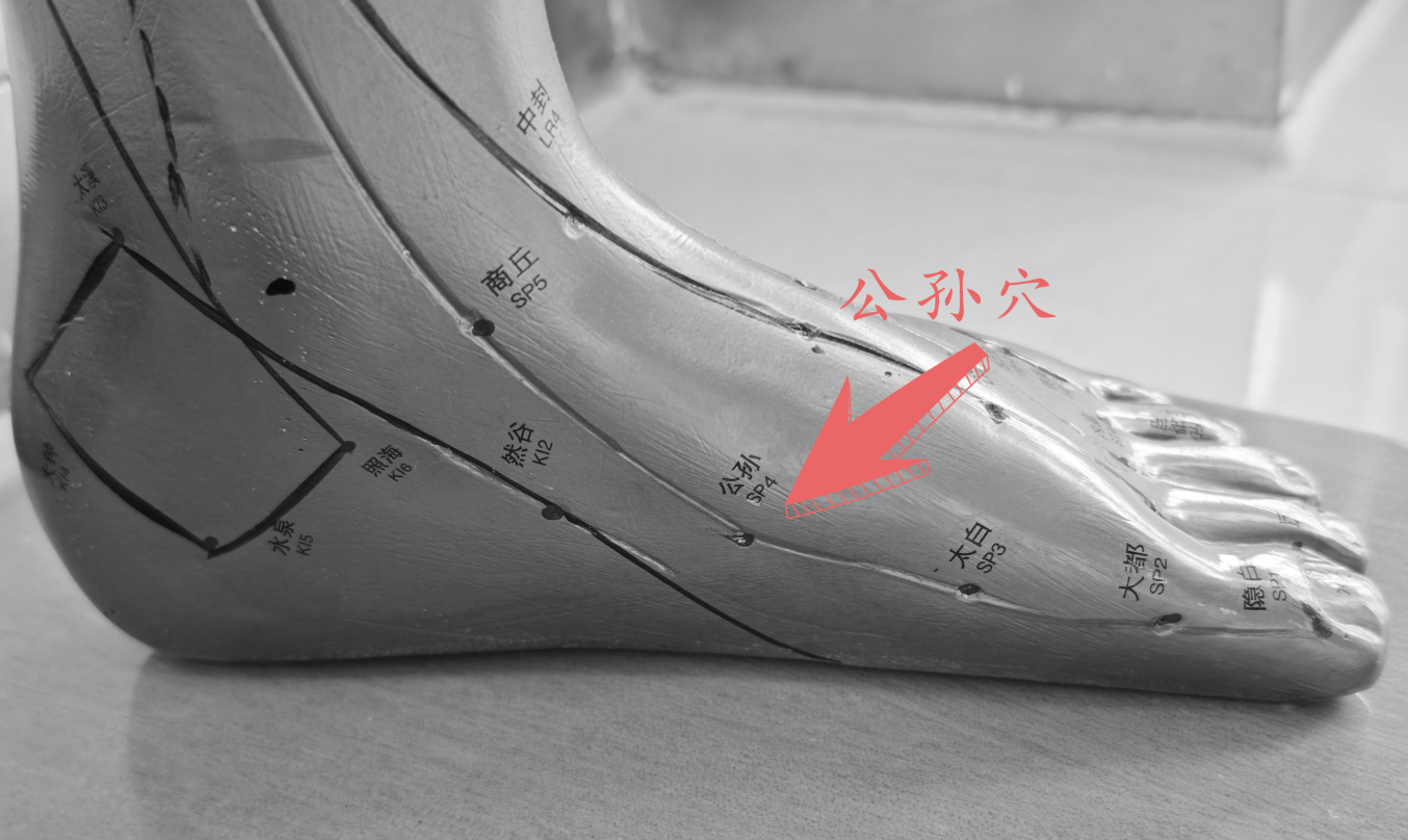 公孙穴.png