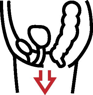 资源 1.png